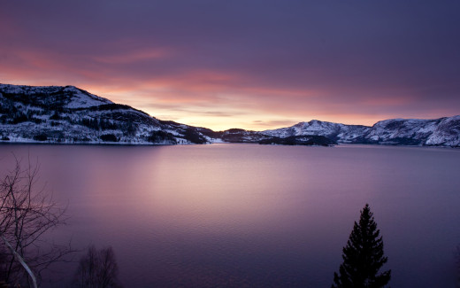 497601 (a): :2560x1600